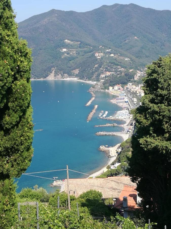 Cinque Terre & Portofino Lodge-Dependance Bracco Moneglia Bagian luar foto